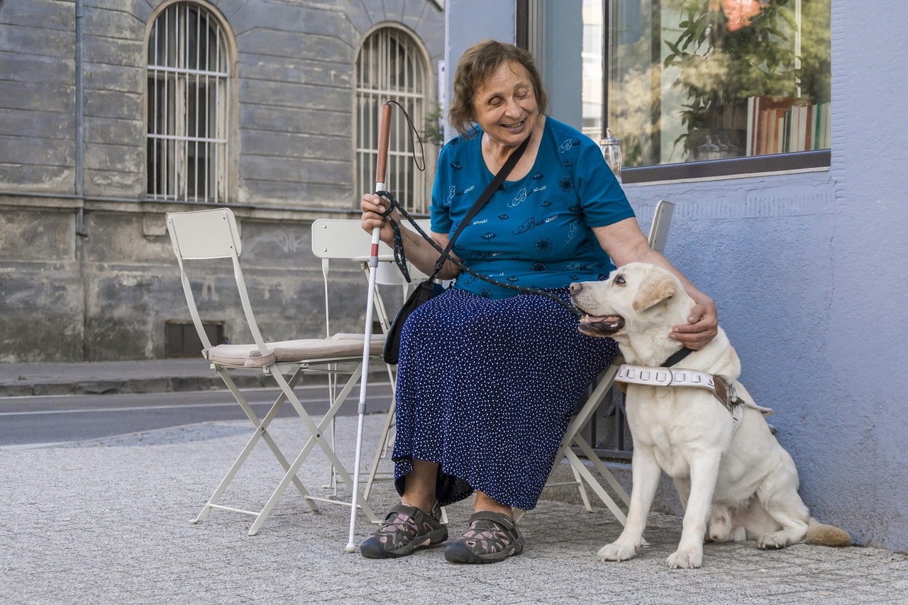 Guide dog